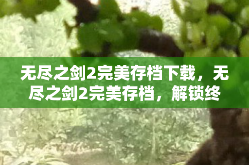 无尽之剑2完美存档下载,无尽之剑2完美存档,解锁终极游戏体验的秘籍 无尽之剑2完美存档下载,无尽之剑2完美存档,解锁终极游戏体验的秘籍