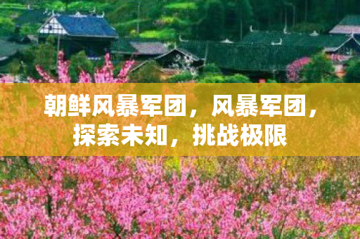 朝鲜风暴军团,风暴军团,探索未知,挑战极限 朝鲜风暴军团,风暴军团,探索未知,挑战极限