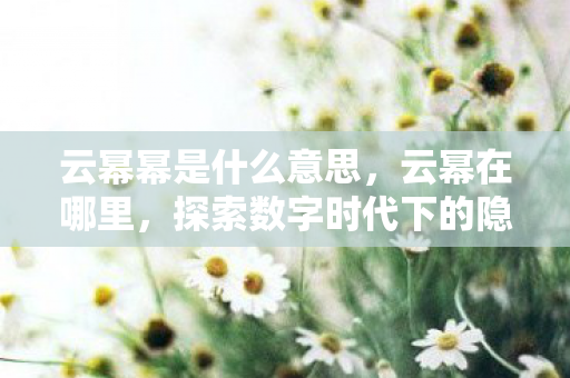 云幂幂是什么意思,云幂在哪里,探索数字时代下的隐私与保护 云幂幂是什么意思,云幂在哪里,探索数字时代下的隐私与保护