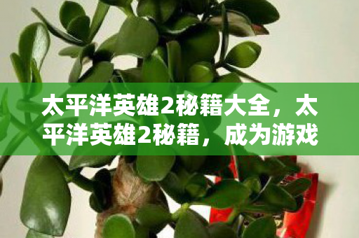 太平洋英雄2秘籍大全,太平洋英雄2秘籍,成为游戏高手的必备攻略 太平洋英雄2秘籍大全,太平洋英雄2秘籍,成为游戏高手的必备攻略
