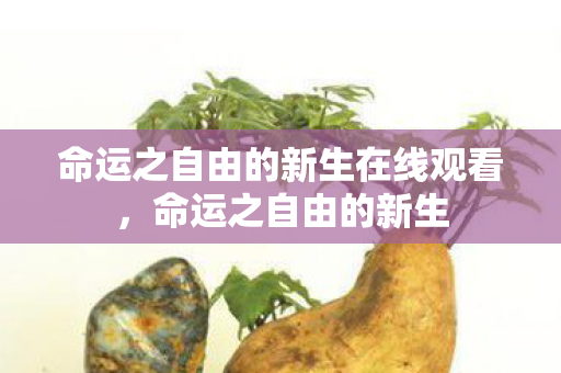 命运之自由的新生在线观看，命运之自由的新生