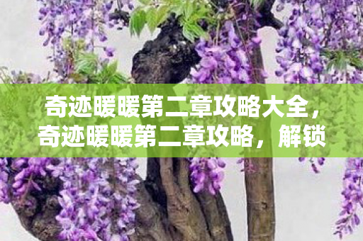 奇迹暖暖第二章攻略大全,奇迹暖暖第二章攻略,解锁新故事,打造时尚女王 奇迹暖暖第二章攻略大全,奇迹暖暖第二章攻略,解锁新故事,打造时尚女王