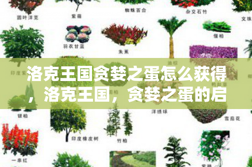 洛克王国贪婪之蛋怎么获得,洛克王国,贪婪之蛋的启示 洛克王国贪婪之蛋怎么获得,洛克王国,贪婪之蛋的启示