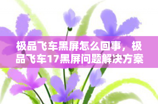 极品飞车黑屏怎么回事,极品飞车17黑屏问题解决方案 极品飞车黑屏怎么回事,极品飞车17黑屏问题解决方案