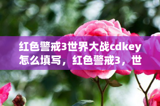 红色警戒3世界大战cdkey怎么填写,红色警戒3,世界大战的CDKEY与游戏背后的故事 红色警戒3世界大战cdkey怎么填写,红色警戒3,世界大战的CDKEY与游戏背后的故事