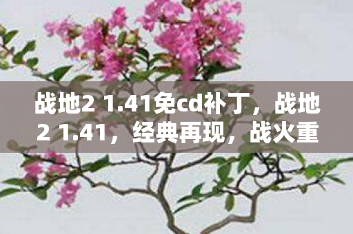 战地2 1.41免cd补丁,战地2 1.41,经典再现,战火重燃 战地2 1.41免cd补丁,战地2 1.41,经典再现,战火重燃