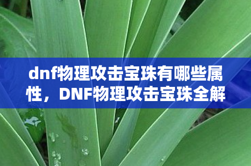 dnf物理攻击宝珠有哪些属性,DNF物理攻击宝珠全解析,提升战斗力的必备神器 dnf物理攻击宝珠有哪些属性,DNF物理攻击宝珠全解析,提升战斗力的必备神器