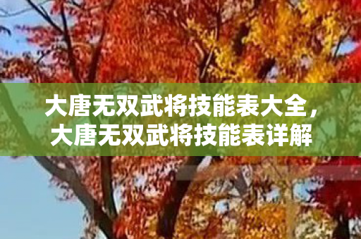 大唐无双武将技能表大全,大唐无双武将技能表详解 大唐无双武将技能表大全,大唐无双武将技能表详解