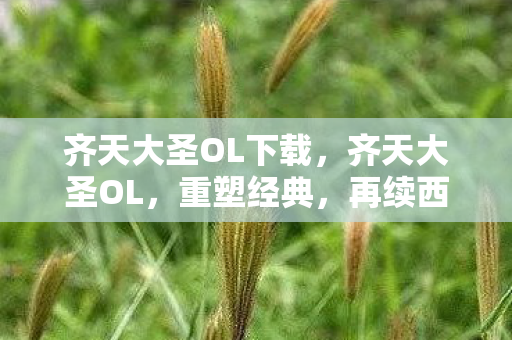 齐天大圣OL下载，齐天大圣OL，重塑经典，再续西游传奇