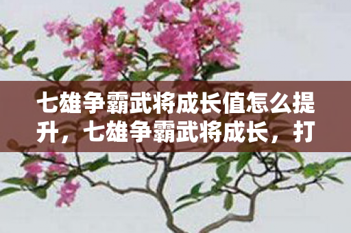 七雄争霸武将成长值怎么提升，七雄争霸武将成长，打造无敌战将的秘诀