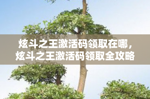 炫斗之王激活码领取在哪,炫斗之王激活码领取全攻略 炫斗之王激活码领取在哪,炫斗之王激活码领取全攻略