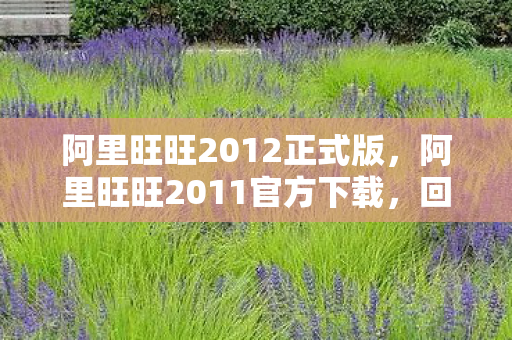 阿里旺旺2012正式版,阿里旺旺2011官方下载,回顾与体验 阿里旺旺2012正式版,阿里旺旺2011官方下载,回顾与体验