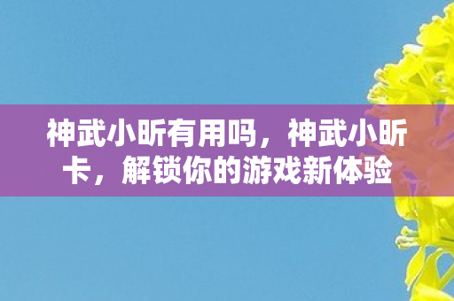 神武小昕有用吗,神武小昕卡,解锁你的游戏新体验 神武小昕有用吗,神武小昕卡,解锁你的游戏新体验
