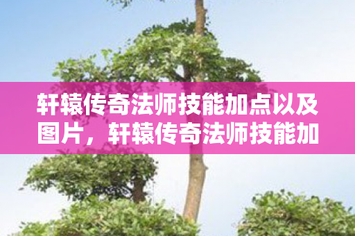 轩辕传奇法师技能加点以及图片，轩辕传奇法师技能加点攻略，打造最强法师的秘诀
