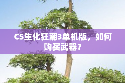 CS生化狂潮3单机版,如何购买武器? CS生化狂潮3单机版,如何购买武器?