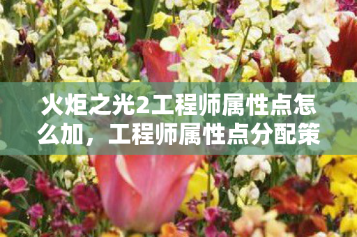 火炬之光2工程师属性点怎么加，工程师属性点分配策略，打造火炬之光2中的全能战士