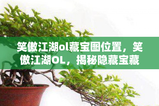 笑傲江湖ol藏宝图位置，笑傲江湖OL，揭秘隐藏宝藏的坐标之谜