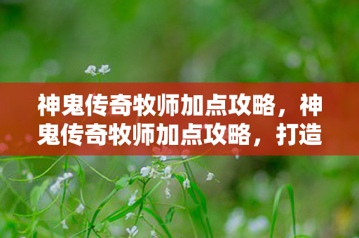 神鬼传奇牧师加点攻略，神鬼传奇牧师加点攻略，打造最强辅助与输出
