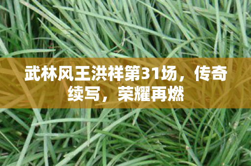 武林风王洪祥第31场，传奇续写，荣耀再燃