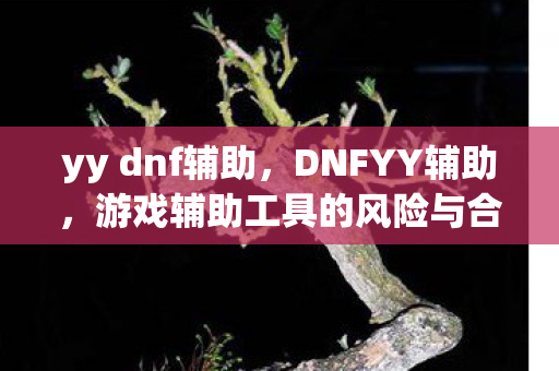 yy dnf辅助,DNFYY辅助,游戏辅助工具的风险与合规性探讨 yy dnf辅助,DNFYY辅助,游戏辅助工具的风险与合规性探讨