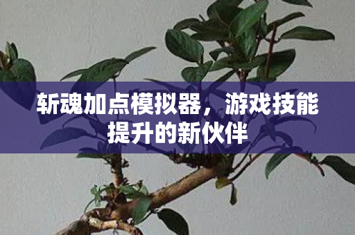 斩魂加点模拟器,游戏技能提升的新伙伴 斩魂加点模拟器,游戏技能提升的新伙伴