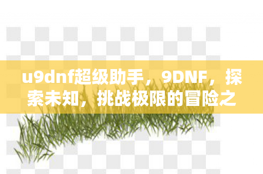 u9dnf超级助手，9DNF，探索未知，挑战极限的冒险之旅
