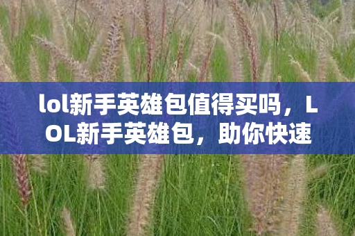 lol新手英雄包值得买吗,LOL新手英雄包,助你快速上手英雄联盟 lol新手英雄包值得买吗,LOL新手英雄包,助你快速上手英雄联盟