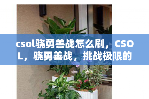 csol骁勇善战怎么刷,CSOL,骁勇善战,挑战极限的射击之旅 csol骁勇善战怎么刷,CSOL,骁勇善战,挑战极限的射击之旅