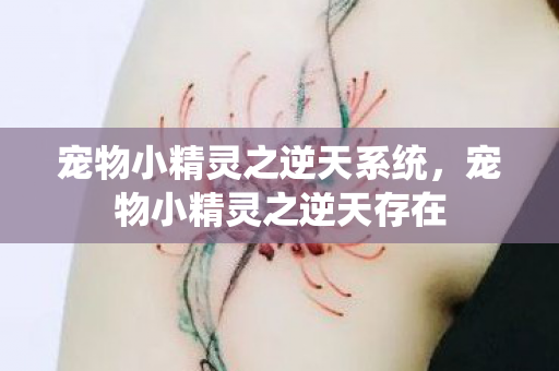 宠物小精灵之逆天系统,宠物小精灵之逆天存在 宠物小精灵之逆天系统,宠物小精灵之逆天存在