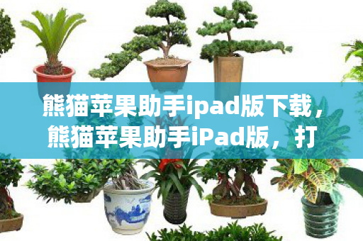 熊猫苹果助手ipad版下载，熊猫苹果助手iPad版，打造你的专属移动应用管理工具