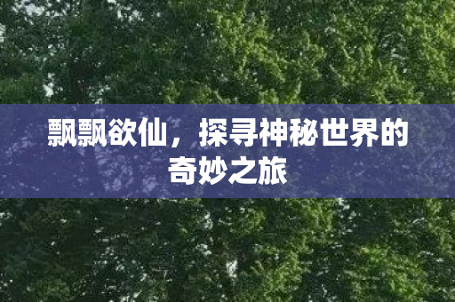 飘飘欲仙,探寻神秘世界的奇妙之旅 飘飘欲仙,探寻神秘世界的奇妙之旅