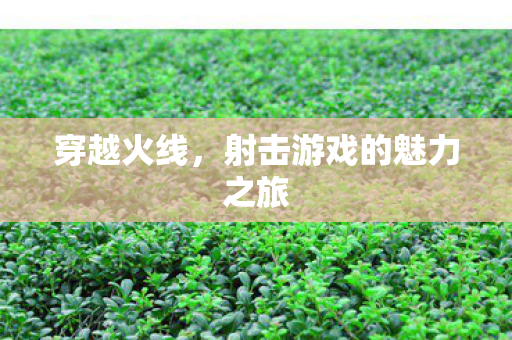 穿越火线,射击游戏的魅力之旅 穿越火线,射击游戏的魅力之旅