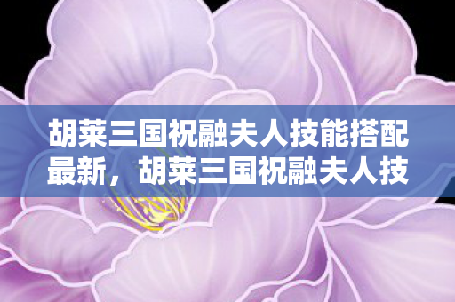 胡莱三国祝融夫人技能搭配最新,胡莱三国祝融夫人技能搭配攻略 胡莱三国祝融夫人技能搭配最新,胡莱三国祝融夫人技能搭配攻略