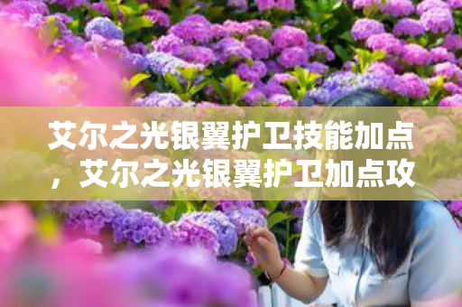 艾尔之光银翼护卫技能加点，艾尔之光银翼护卫加点攻略，打造最强战斗力的关键