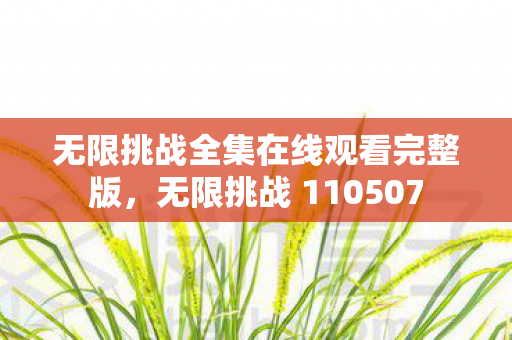 无限挑战全集在线观看完整版,无限挑战 110507 无限挑战全集在线观看完整版,无限挑战 110507
