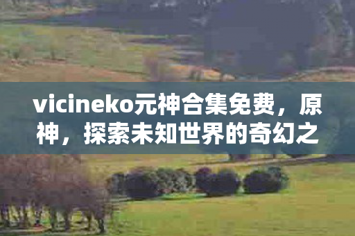 vicineko元神合集免费,原神,探索未知世界的奇幻之旅 vicineko元神合集免费,原神,探索未知世界的奇幻之旅