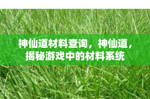 神仙道材料查询,神仙道,揭秘游戏中的材料系统 神仙道材料查询,神仙道,揭秘游戏中的材料系统