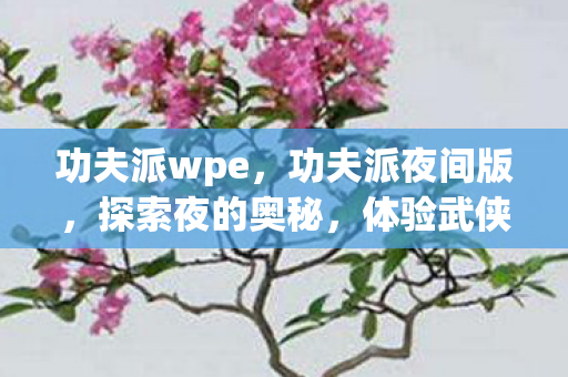 功夫派wpe，功夫派夜间版，探索夜的奥秘，体验武侠新境界