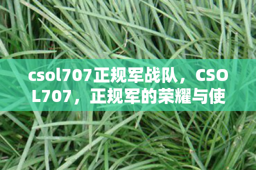 csol707正规军战队,CSOL707,正规军的荣耀与使命 csol707正规军战队,CSOL707,正规军的荣耀与使命