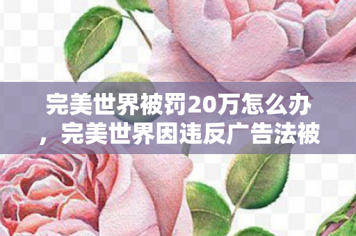 完美世界被罚20万怎么办,完美世界因违反广告法被罚20万,加强合规管理,守护企业信誉 完美世界被罚20万怎么办,完美世界因违反广告法被罚20万,加强合规管理,守护企业信誉