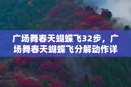 广场舞春天蝴蝶飞32步,广场舞春天蝴蝶飞分解动作详解 广场舞春天蝴蝶飞32步,广场舞春天蝴蝶飞分解动作详解