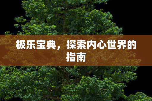 极乐宝典,探索内心世界的指南 极乐宝典,探索内心世界的指南
