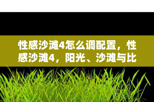 性感沙滩4怎么调配置，性感沙滩4，阳光、沙滩与比基尼的夏日盛宴