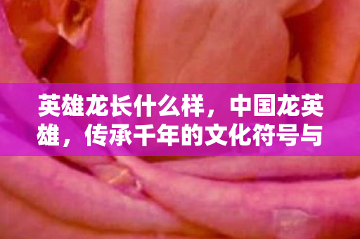 英雄龙长什么样，中国龙英雄，传承千年的文化符号与民族精神的象征