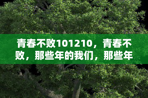 青春不败101210,青春不败,那些年的我们,那些年的梦 青春不败101210,青春不败,那些年的我们,那些年的梦