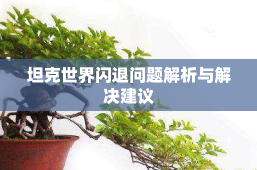 坦克世界闪退问题解析与解决建议 坦克世界闪退问题解析与解决建议
