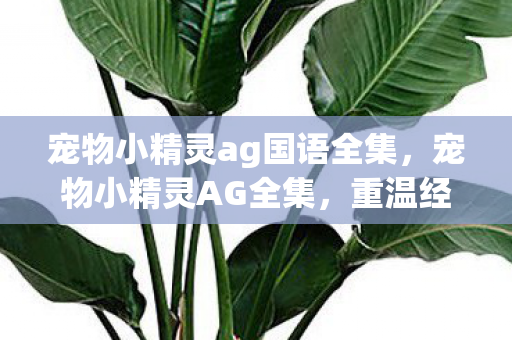 宠物小精灵ag国语全集，宠物小精灵AG全集，重温经典，探索神奇之旅