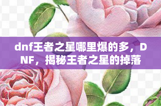 dnf王者之星哪里爆的多，DNF，揭秘王者之星的掉落地点与高效获取攻略