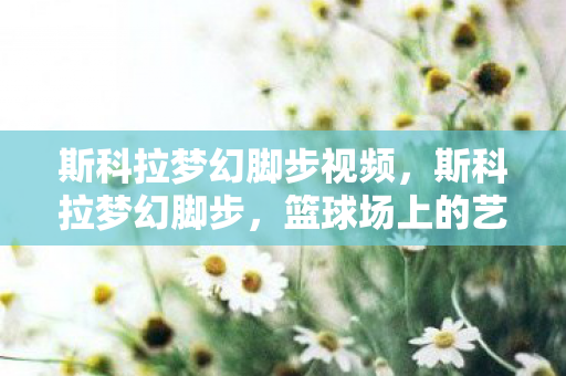 斯科拉梦幻脚步视频，斯科拉梦幻脚步，篮球场上的艺术舞步