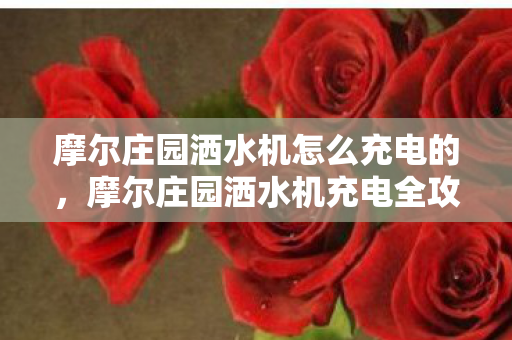 摩尔庄园洒水机怎么充电的,摩尔庄园洒水机充电全攻略 摩尔庄园洒水机怎么充电的,摩尔庄园洒水机充电全攻略